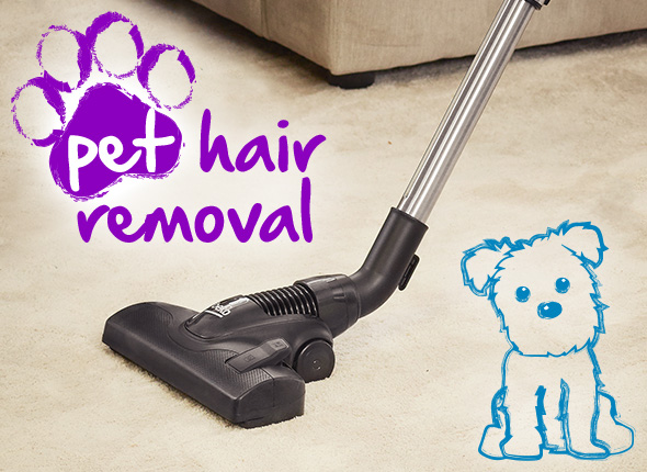 Beko bagless upright vacuum | Beko UK beko vcs6135ab_bl upright vacuum cleaner handle instructions